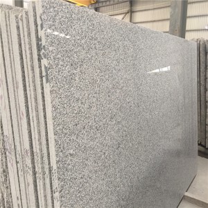 Dalles de granit China Bianco Sardo G623